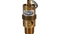 sv100150200 VALVULA DE ALIVIO DIXON DE BRONCE MACHO DE NPT